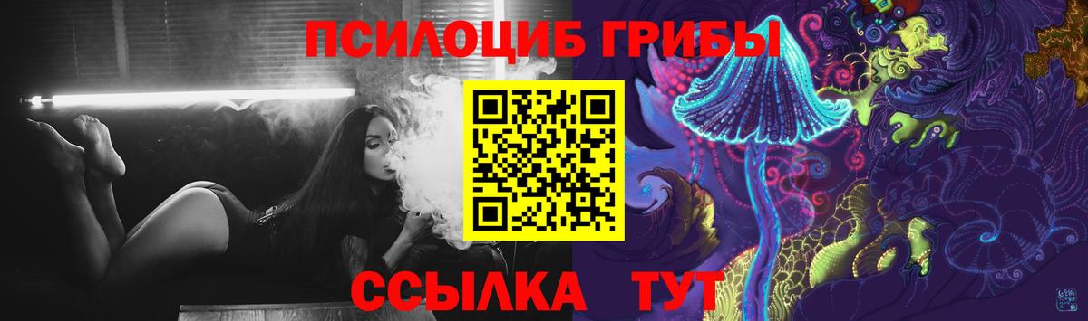 Камышин  Галлюциногенные грибы прущие грибы  Псилоцибиновые грибы Psilocybe  Вход с VPN 